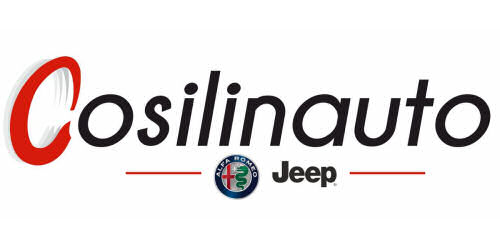 Logo COSILINAUTO